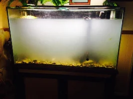 Please Help,  No Idea Where To Start