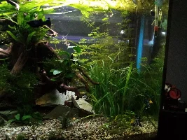 New Tank Setup, 165L 3rd tank on the go.
