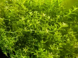 A few random pictures from the past week or so