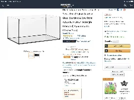 Please suggest me an Economic Rimless Aquarium for Betta