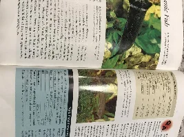 Soften/acidify water for black ghost knife fish