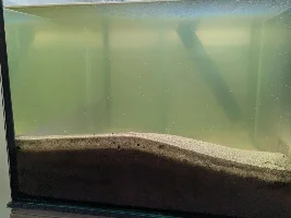 Anyone else raising fish for food??? Now with pictures of the Harvest!