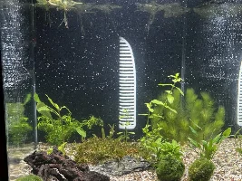My 60L Cube