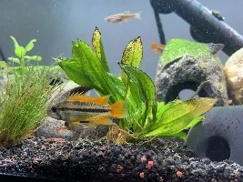 Favorite Fish Photos