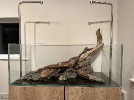 Aquascaper 1200 - Hypsophrys Nicaraguensis tank