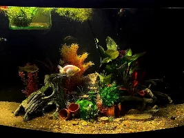 Tank Updates