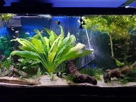 55 Gallon Journal