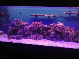 Complete Noobie Exploring Unknown Territories