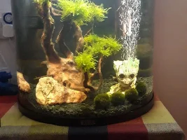Stocking and design help for newbie