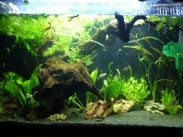 Finally tearing down ugly 57g, building new 36g to replace it!