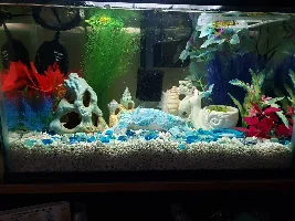 Pre-filter too loose