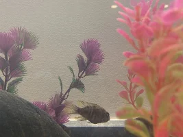Can you help me identify these please?