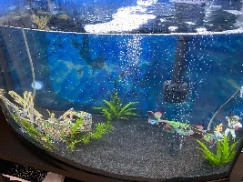 New to the Forums...