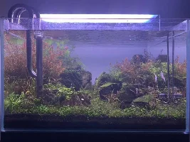 Aquascaper 600