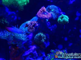 New photos! Take a look!