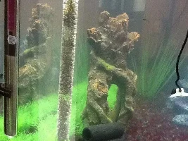 My Have Moss Pillar
