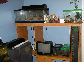My room