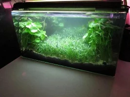 The Infinity Tank Project