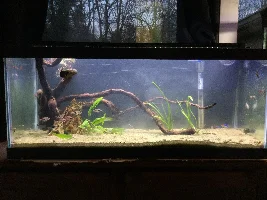 Aquascaper 20g
