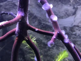 What is this?