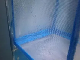Help Unexpected Babies ? In Local Petshop Buy