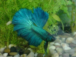 My New Addition!