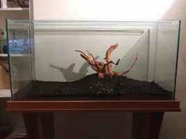 Lowee's 45gal Journal