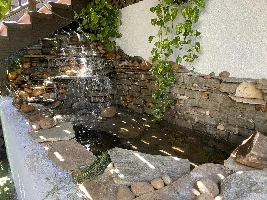 How do water changes for Ponds work?