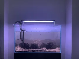 Aquascaper 600