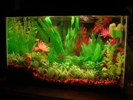 How Does This Look?
