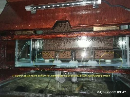 My extreme DIY journey from rookie to almost pro. Low Iron glass aquarium/sump. Anoxic Filtration System. Dr. Kevin Novak.
