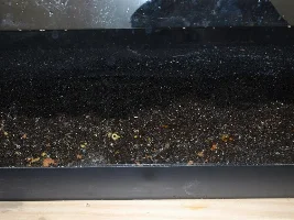 My thoughts on substrates and aquasoils