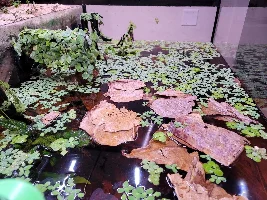 A few random pictures from the past week or so