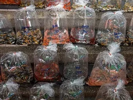 Bad place.....fishes cruelty