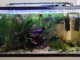 My 10 gallon Build Process
