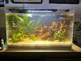 is this tank good for kuhli loaches/stocking ideas please!!