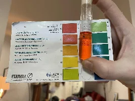Female guppy not improving despite treatment