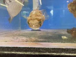Fish Store Pictures