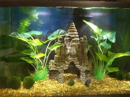 Hi there, I'm new to the hobby