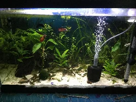 Try for the "blackwater" look