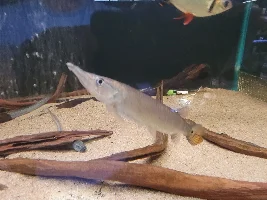 Fish Store Pictures