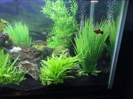 All cleaned up