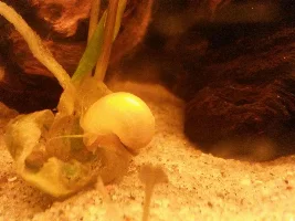20 gallon update! With pics!