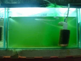 Is This Normal?