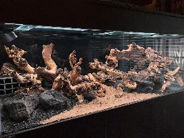 Aquatopia - 6x2x2 Low-Med Light, High Tech Nature Aquarium