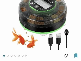 Keeping fish alive during a four-week long vacation