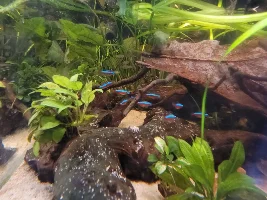 A few random pictures from the past week or so