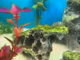 Filter change