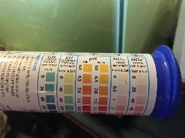 Controlling Nitrite/Nitrate Levels (Water Parameters)