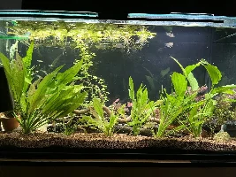 My 'big' tank